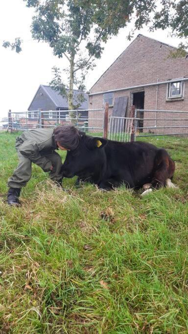 De Kaasmakerij - Ruim Vakantiehuisje Op Huize Blokland Hem ภายนอก รูปภาพ