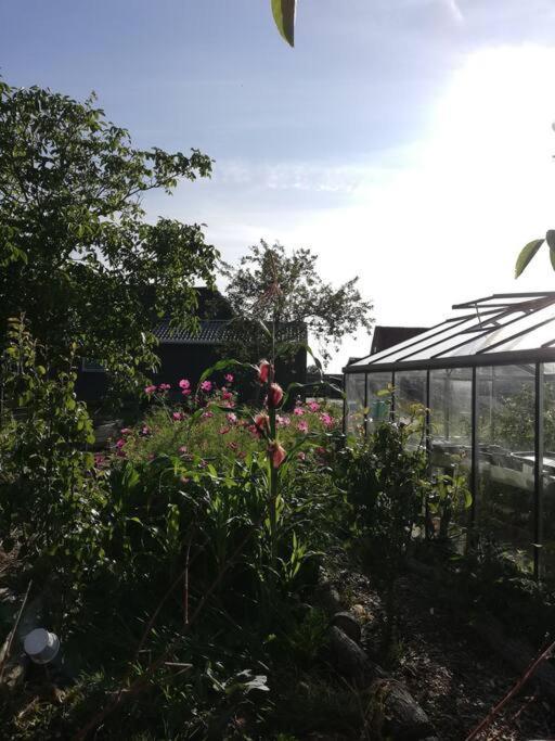 De Kaasmakerij - Ruim Vakantiehuisje Op Huize Blokland Hem ภายนอก รูปภาพ